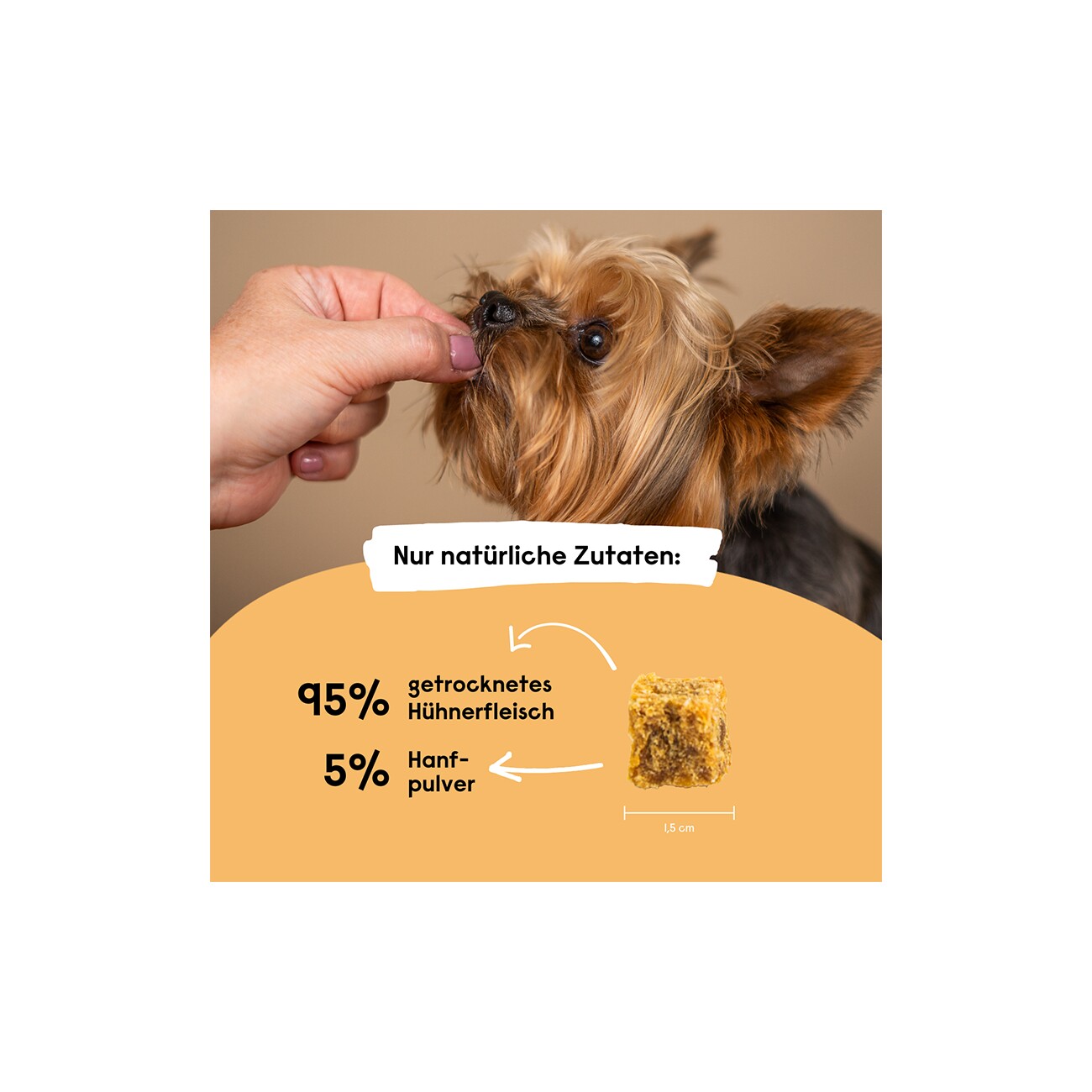 Hanfred Hanf Minis Huhn 90 g
