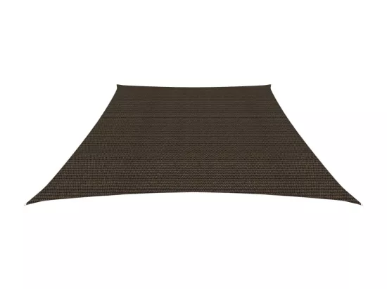 Voile d'ombrage 160 g/m² Marron 4/5x3 m PEHD
