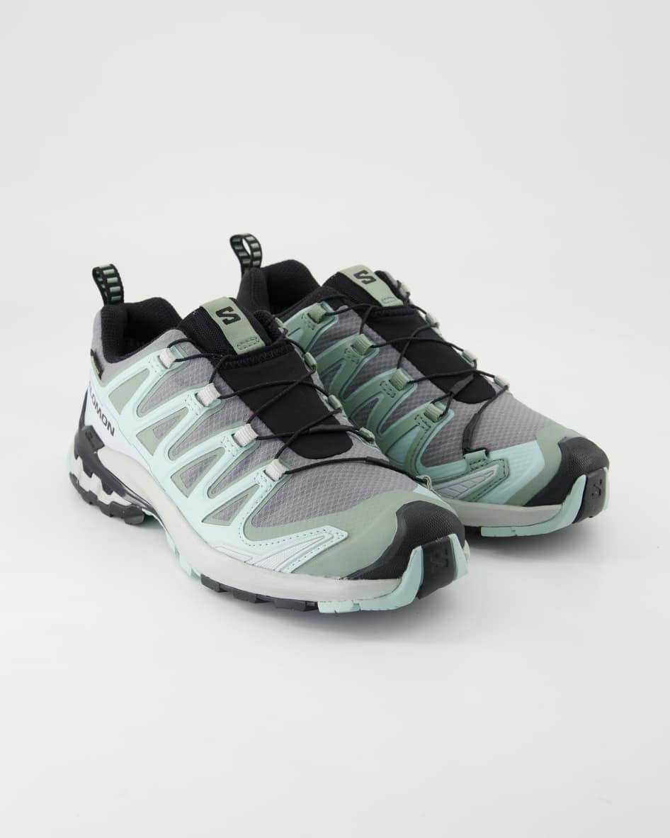 Salomon XA Pro 3D V9 GTX W Sportschuhe in Grün