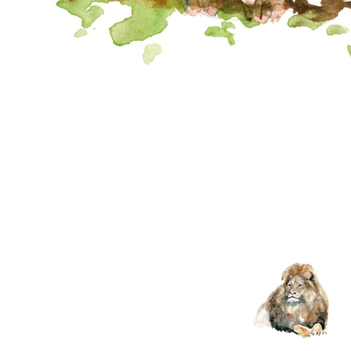 Verjaardag | Michelle Dujardin | Illustratie