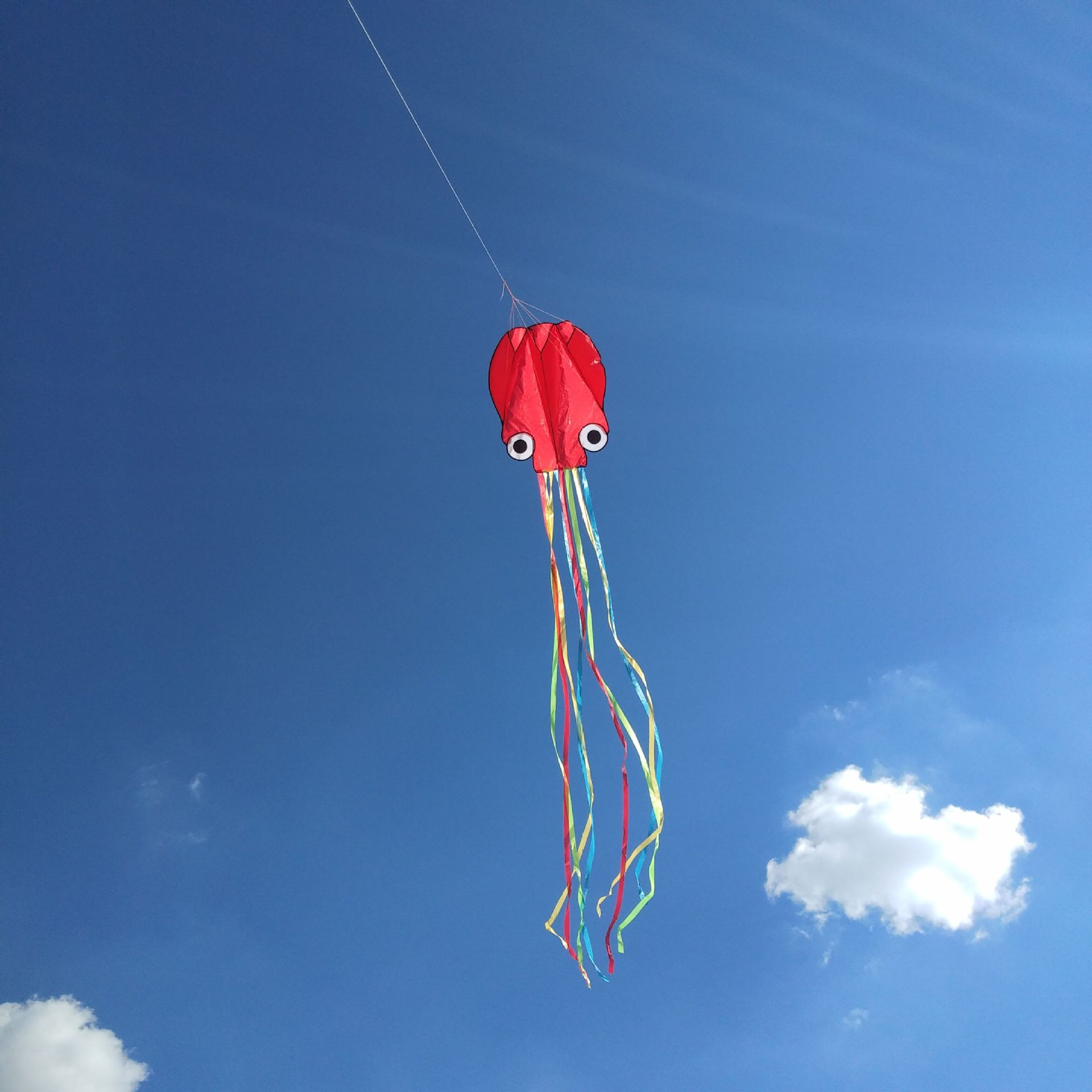 (72cm) Flug Drachen Herbst Spielzeug Outdoor Oktopus Flugspielzeug mit Regenbogen Streifenschwänze - Rot