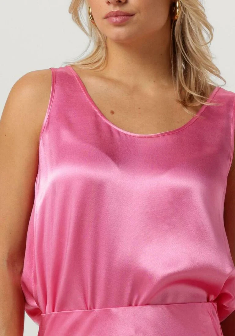 CIRCLE OF TRUST roze circle of trust top isabelle top