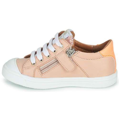 GBB - LOMIA - Rose