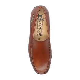 algoras  TOBY 38111  BRANDY