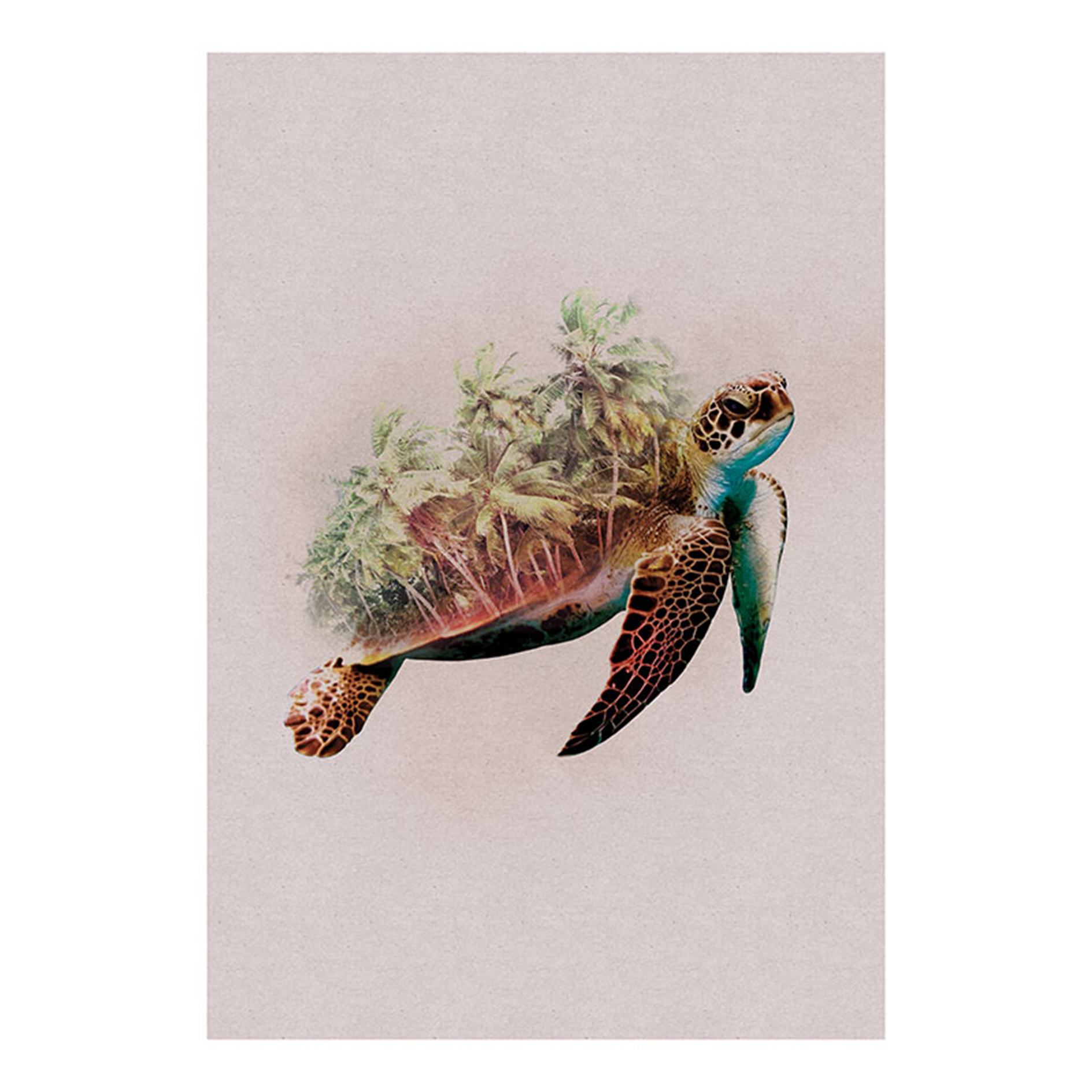 Wandbild ANIMALS PARADISE TURTLE - 50x70 cm