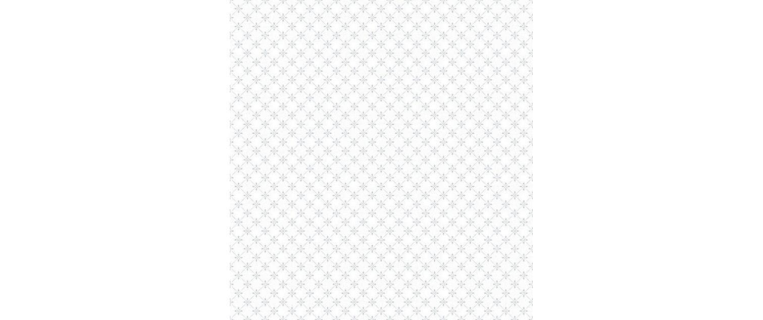 Fensterfolie Ally 67.5 x 150 cmSichtschutzfolie