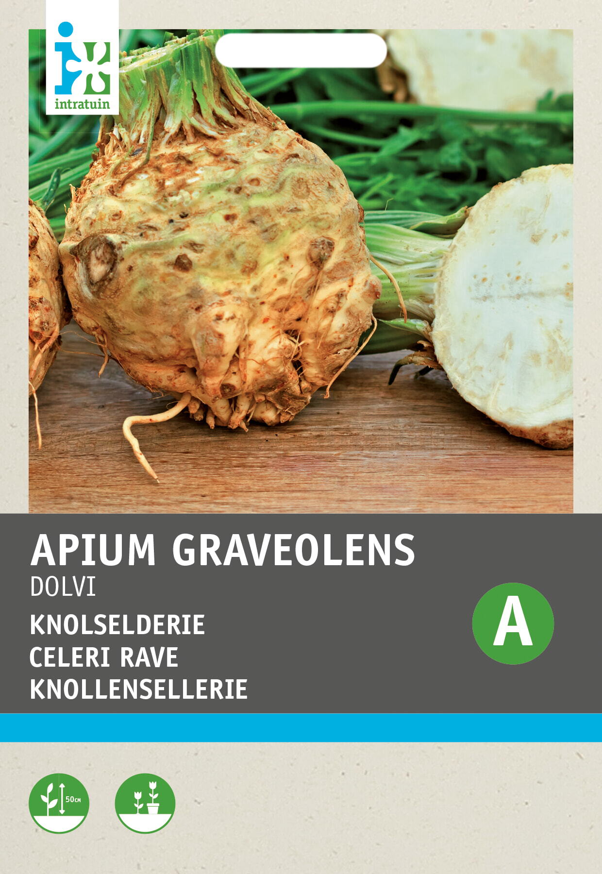Intratuin groentezaad Knolselderij (Apium graveolens 'Dolvi Prager Reus')
