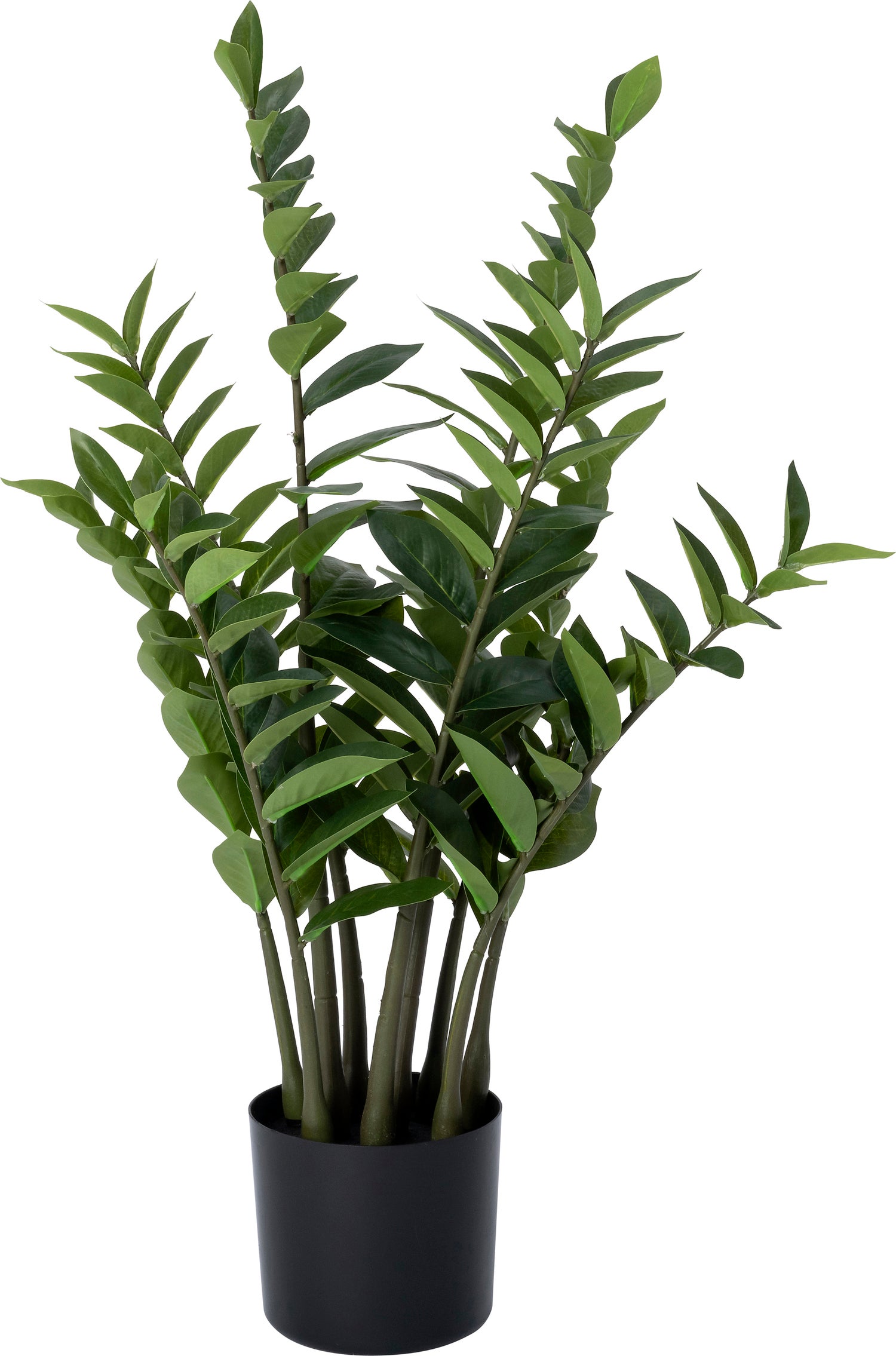 Intratuin kunstplant Zamioculcas groen D 52 H 88 cm