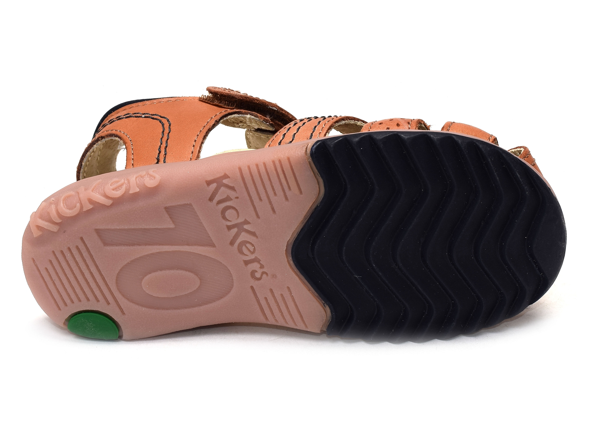 Platinium camel