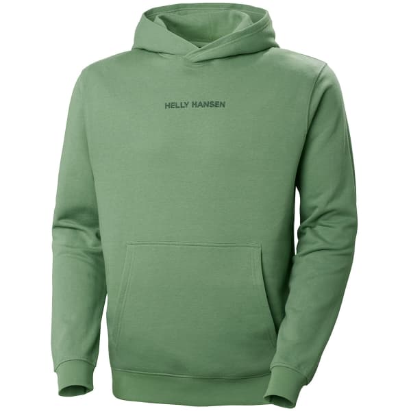 Sweatshirt HELLY HANSEN CORE GRAPHIC SWEAT HOODIE JADE