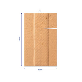 Hansaplast Pleisters Universal 1m x 6cm 1ST