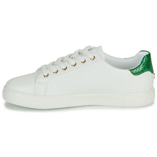 Aldo - FINEDAY - Blanc / Vert