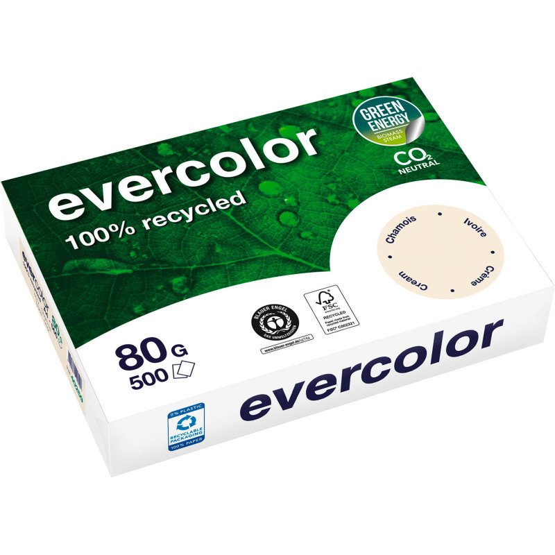 Papier A4 couleur 80 g Clairefontaine Evercolor - Ramettes de 500 feuilles