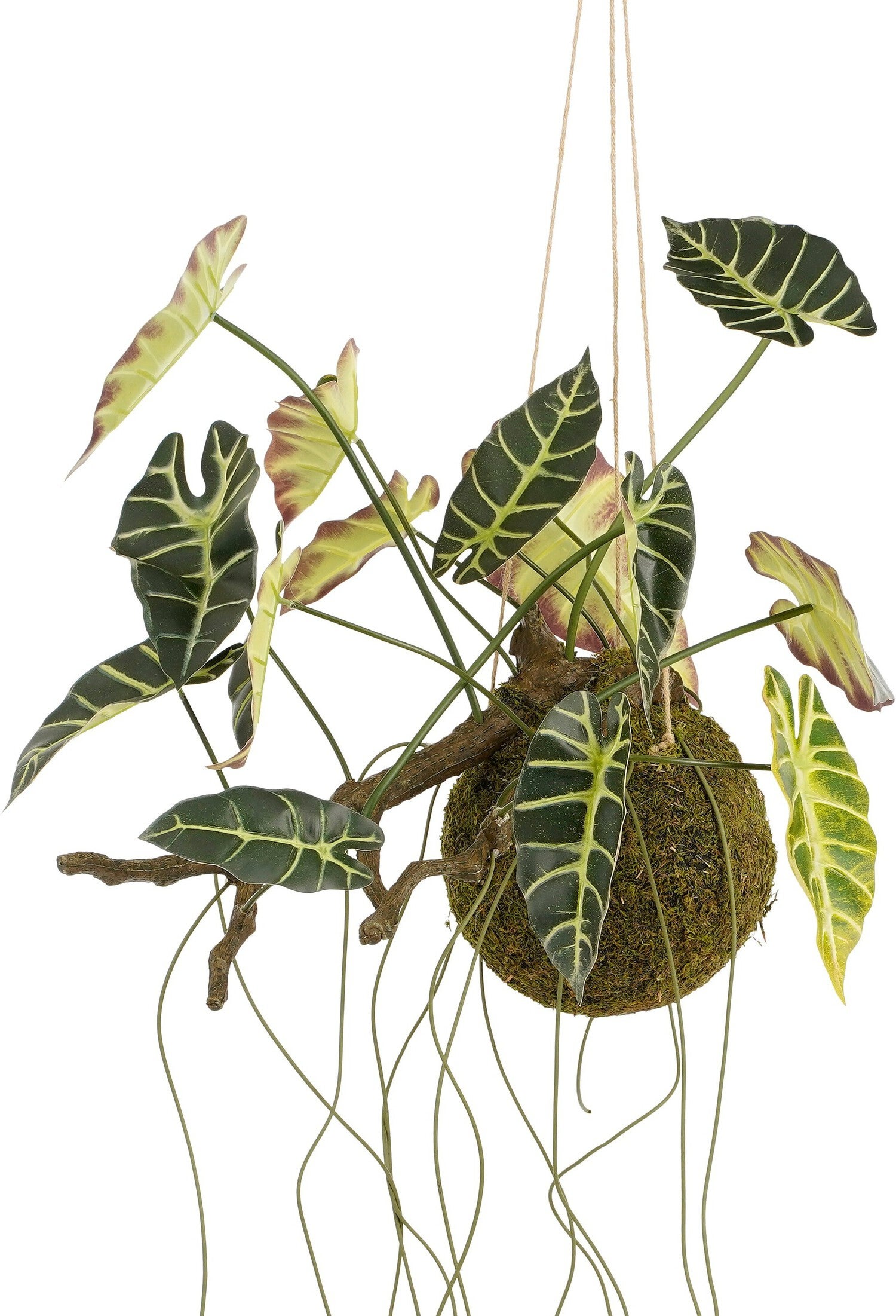 Mica Decorations kunstplant Alocasia groen 64 x 30 x 50 cm