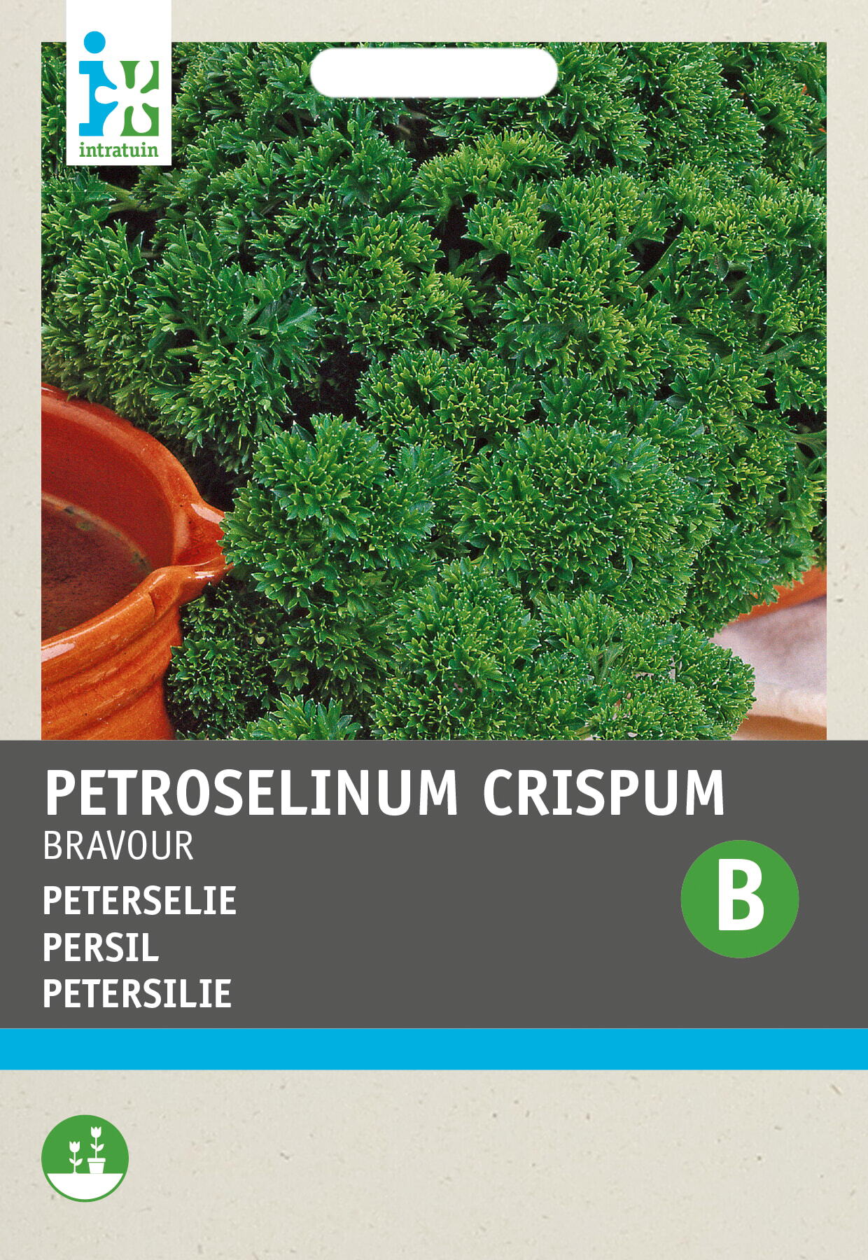 Intratuin kruidenzaad Peterselie (Petroselinum crispum 'Bravour')