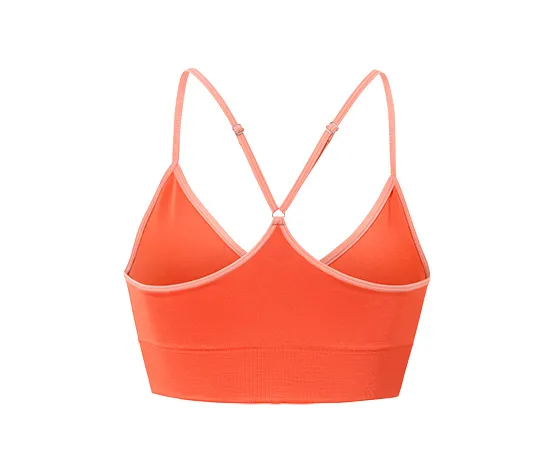 Seamless-Bustier