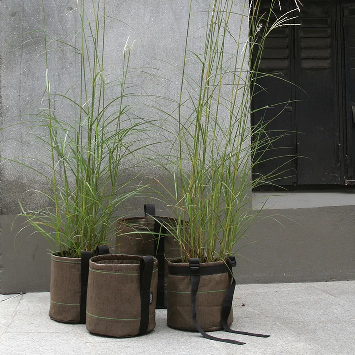 Bacsac - Pot Pflanztasche Batyline 50 l, yucca