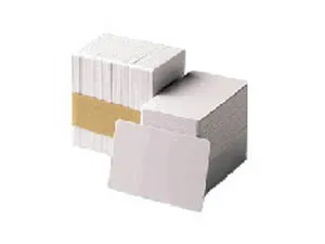 Zebra Premier Security - 30 mil - 100 stk. PVC-kort med indlagt hologram (World Globe Design) (pakke med 5) - for Zebra P100i, P110i, P120i, P330i, P330m, P430i, P520i, P630i, P640i