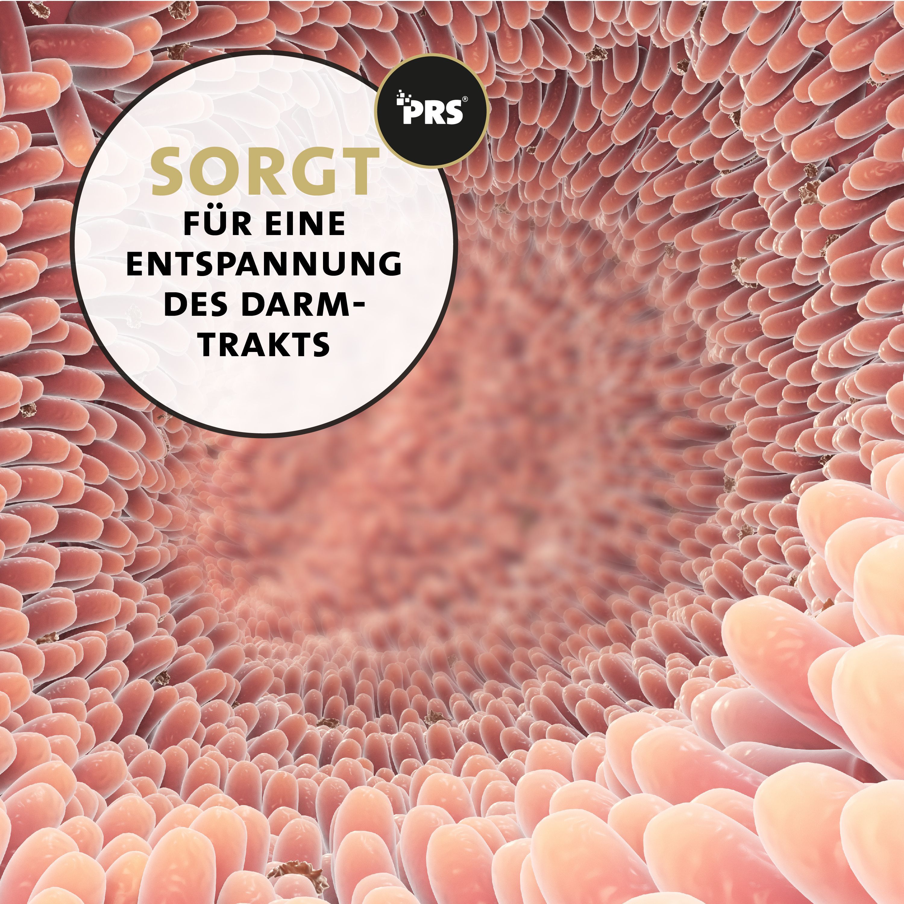 Peticare Relax-Mix Pulver für Hunde, beruhigendes Ergänzungsfutter-Mittel