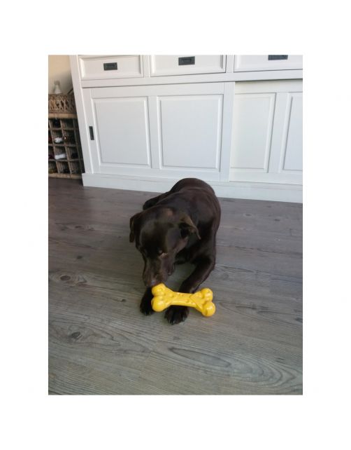Nylabone Durachew Cheese Bone Geel - Hondenspeelgoed