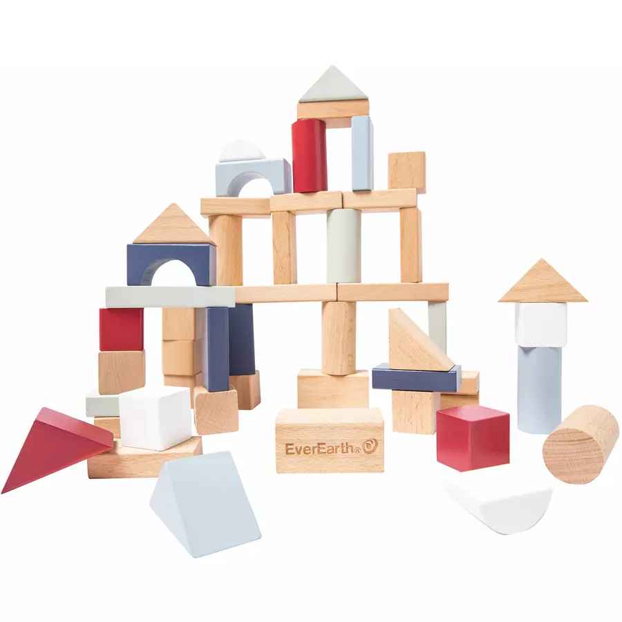 EverEarth® 50pcs Lifetyle Building Blocks