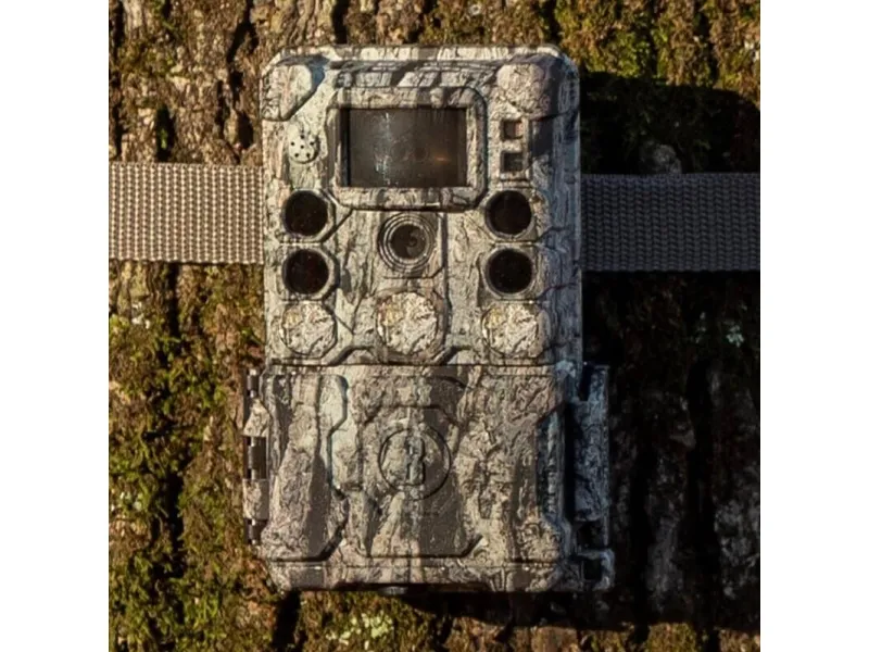 Bushnell 119949M, 30 MP, 3840 x 2160 pixel, 50°, 1280 x 720,1920 x 1080 pixel, 1920x1080@60fps, 3840x2160@30fps, 720p, 1080p