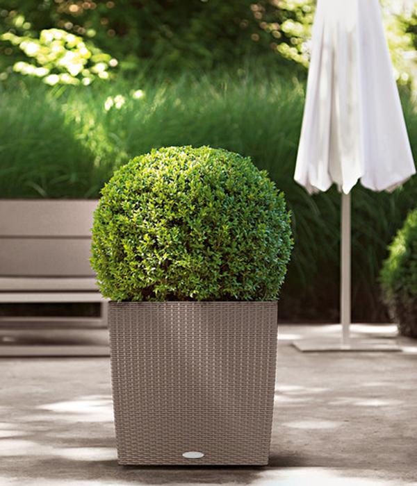 LECHUZA® Kunststoff-Topf Cube Cottage,