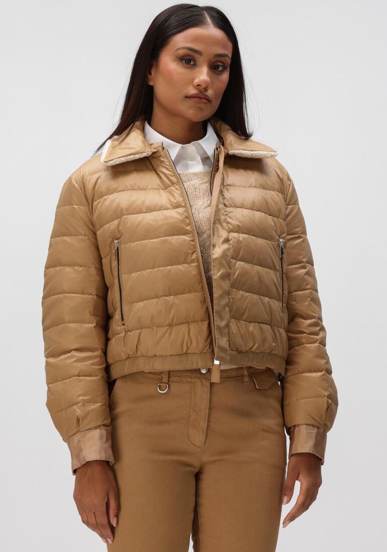 camel luisa cerano  438530/4186-16