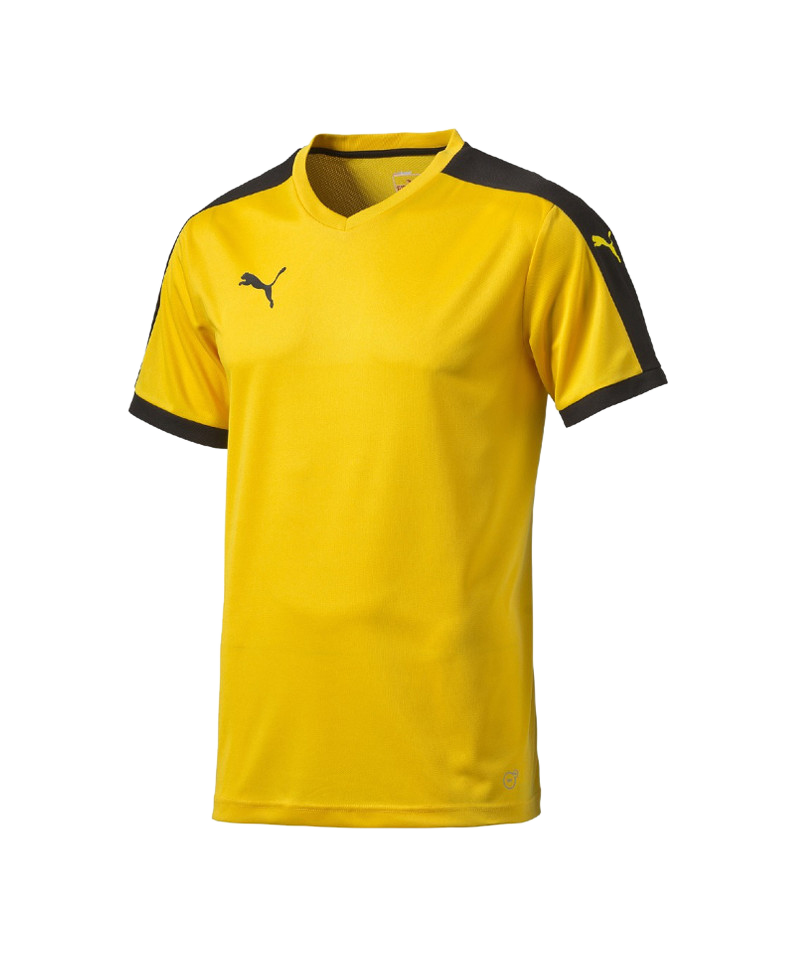 PUMA Pitch Shortsleeved Shirt Trikot Kids Gelb F07
