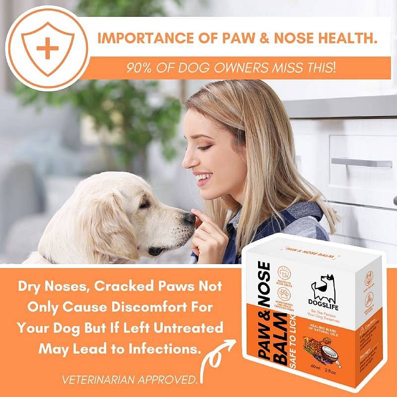 DogsLife Paw & Nose Balm Hond 60 ml | 12991