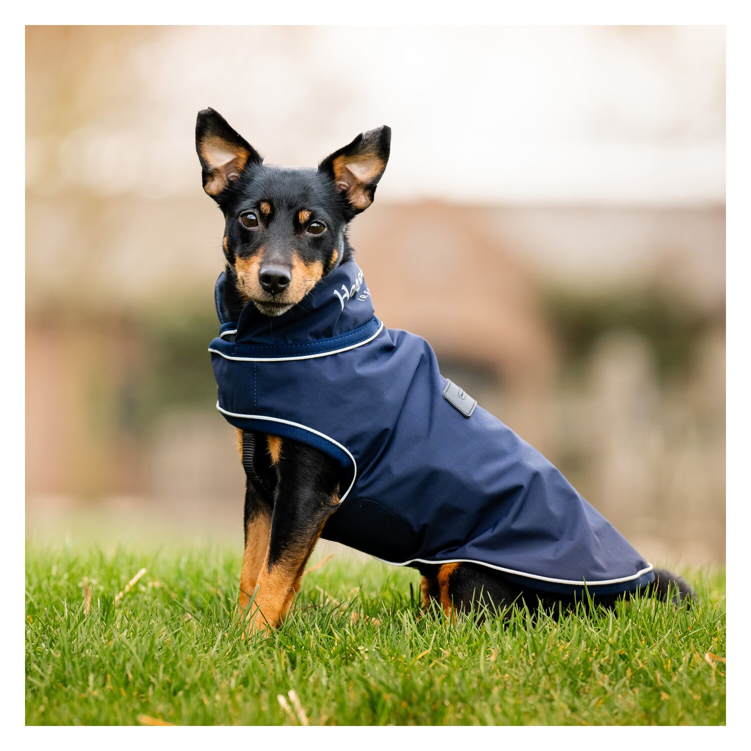HORSEWARE Hunde-Regenmantel - navy