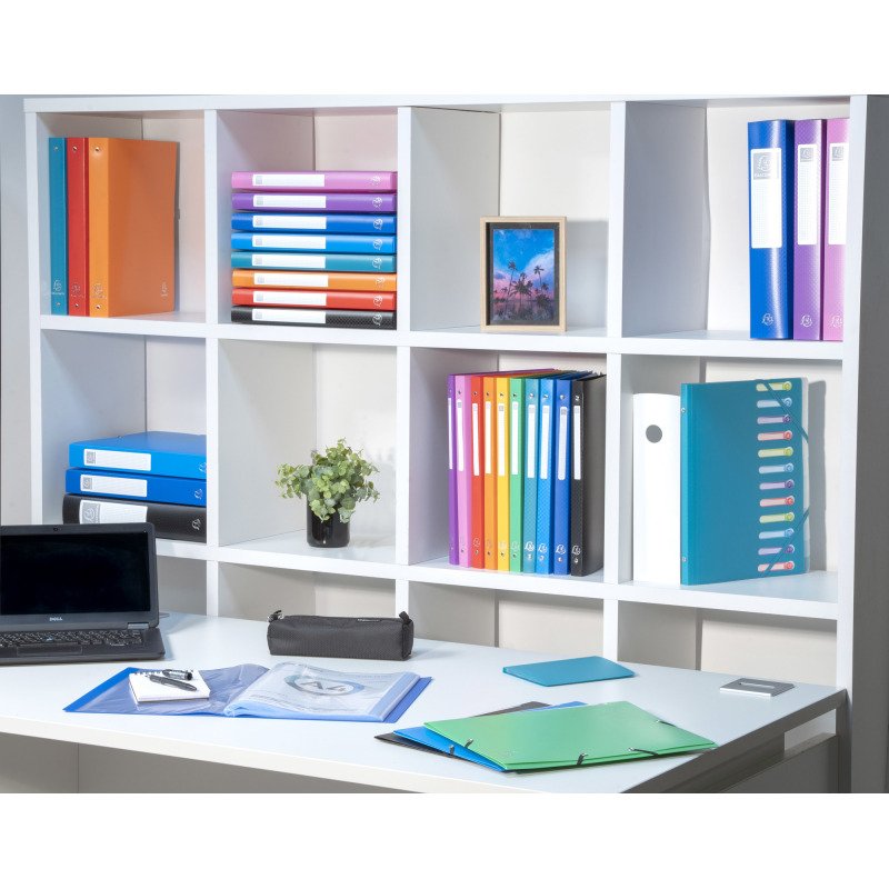 Protège-documents Exacompta polypropylène souple opaque A4 60 pochettes - 120 vues