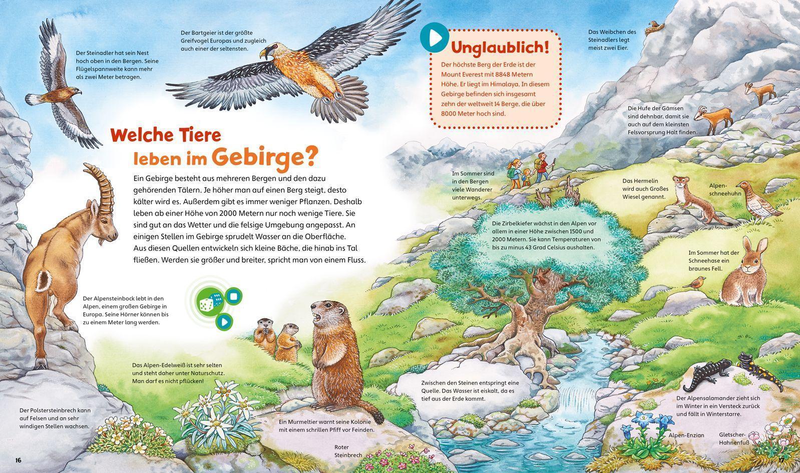 Was ist was junior: Erlebe die Natur!