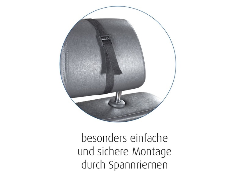 Reer Veiligheidsspiegel