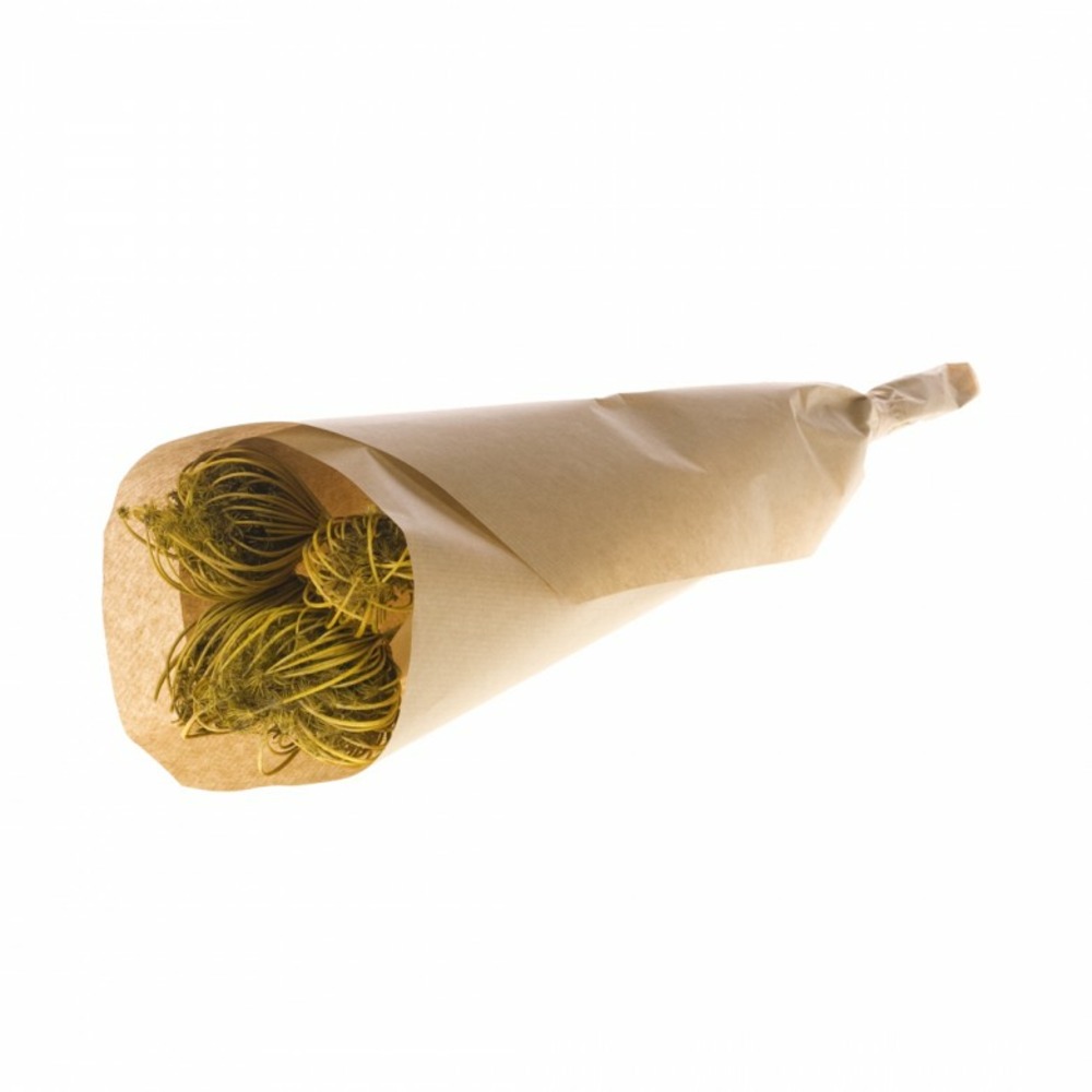 Botte de fleurs séchées ammi majus jaune