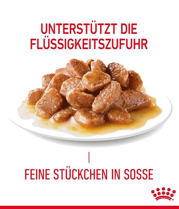 ROYAL CANIN® Nassfutter für Katzen Light