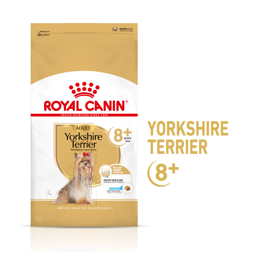 Ração Royal Canin Adult 8+ Yorkshire para cães