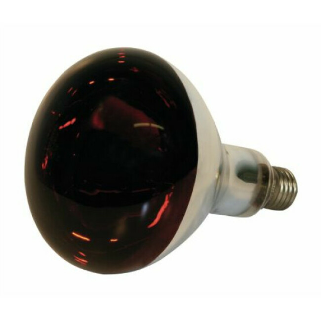 Lampe Kerbl infrarouge en verre