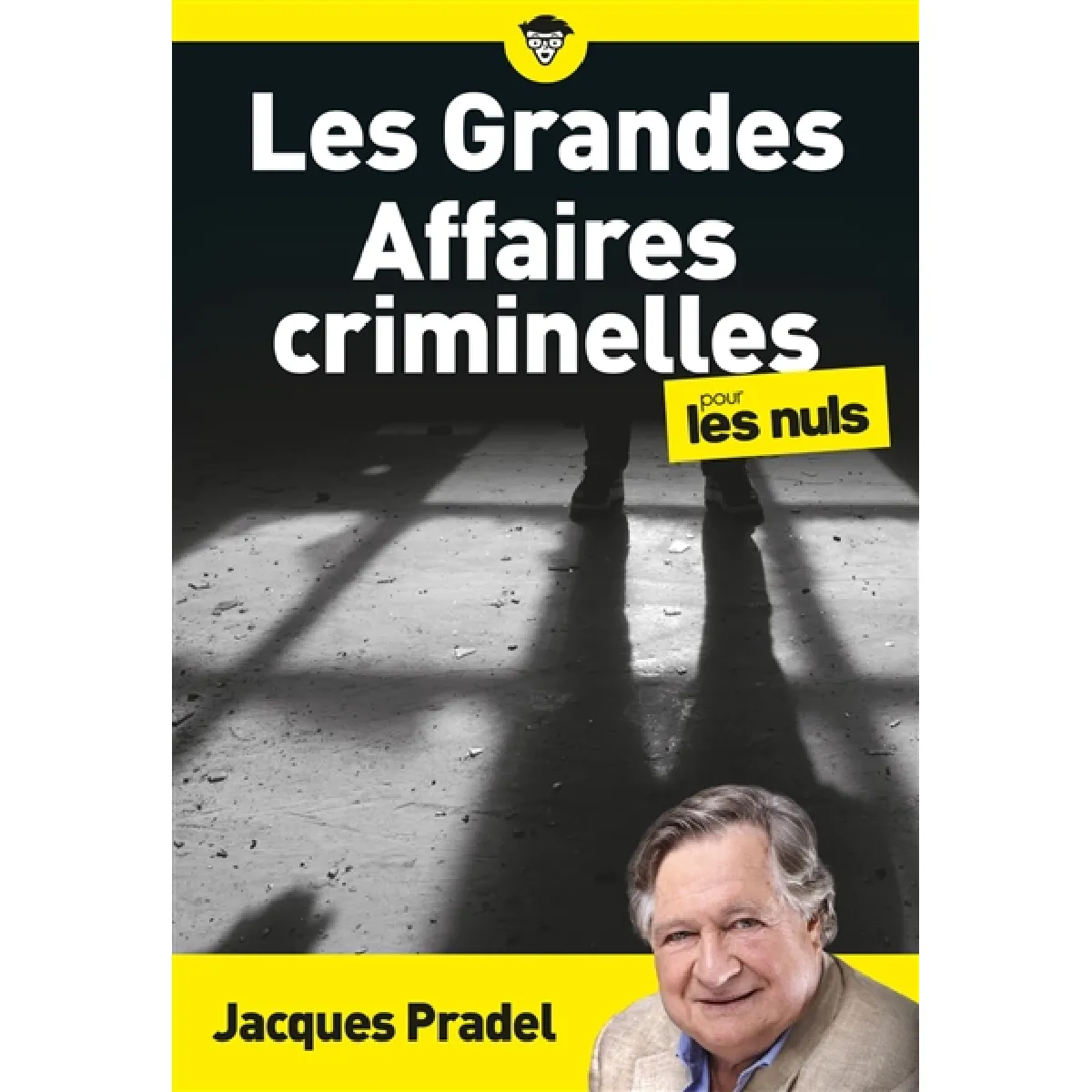 Les grandes affaires criminelles pour les nuls · Occasion