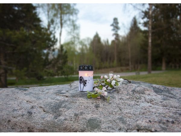 Star Trading LED Grabkerze Löwenzahn, Ø 7 x 12 cm, Weiss LED-Gedenkkerze mit Löwenzahnmotiv