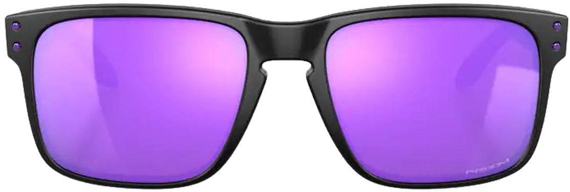 Oakley Holbrook