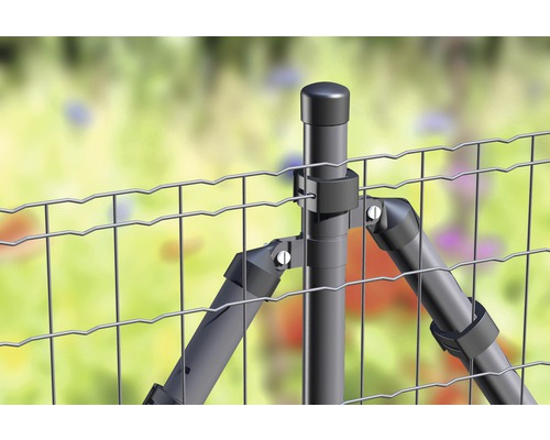 Complete hekwerkset ALBERTS Fix-Clip Pro® voor inbetonneren, 25 m x 81 cm, antraciet