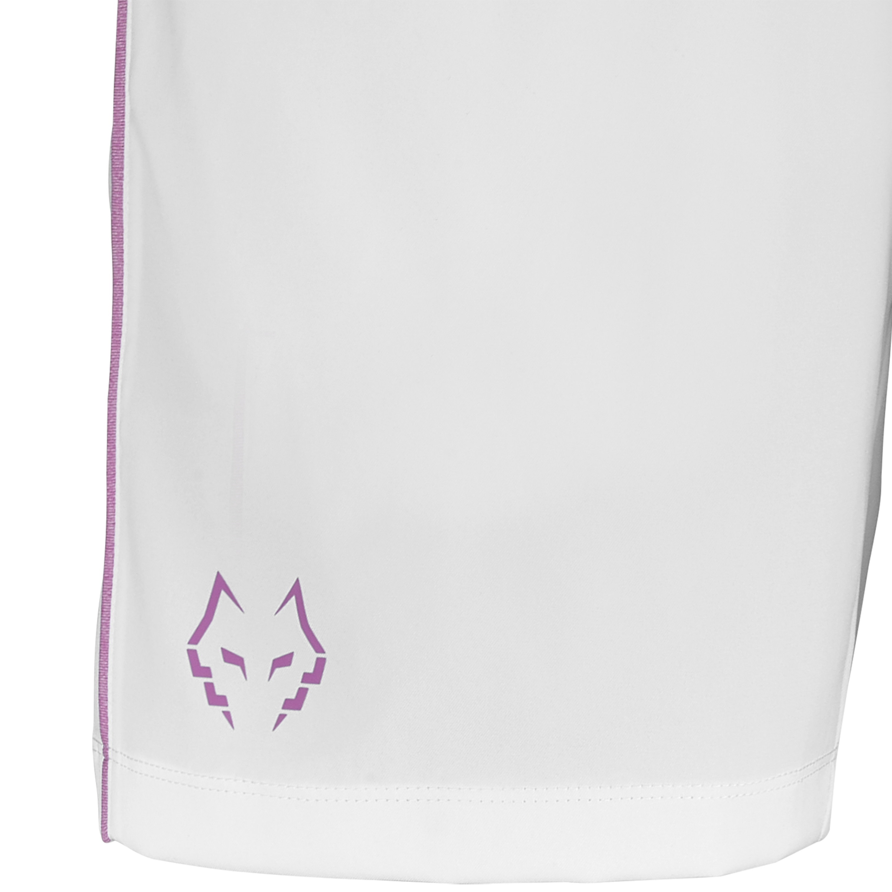Shorts Lebron Herren Blau