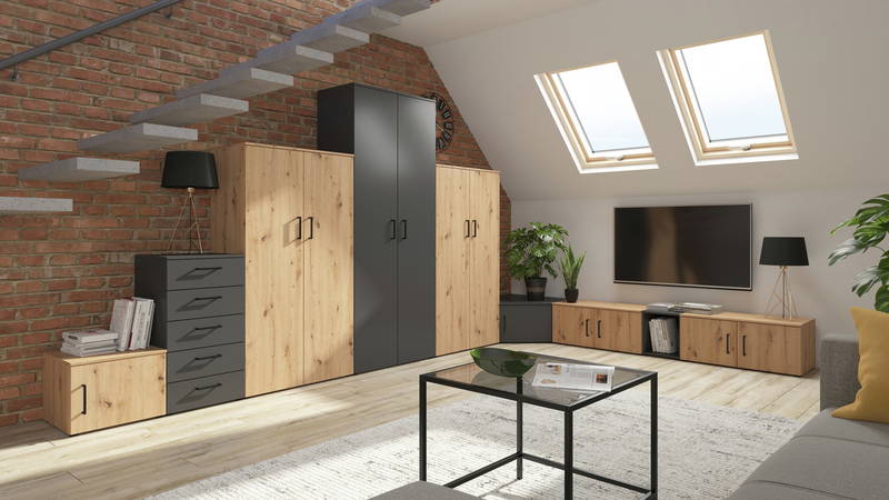 Carryhome Mehrzweckschrank MULTISTAURAUM