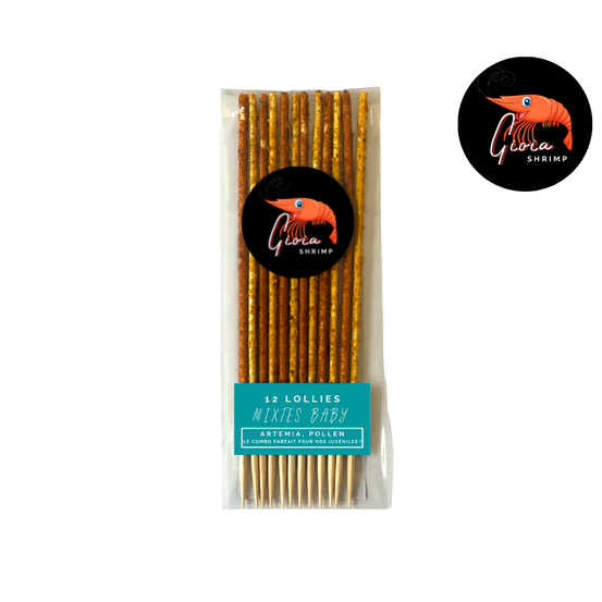 12 Lollies mixtes baby pour crevettes d'aquarium