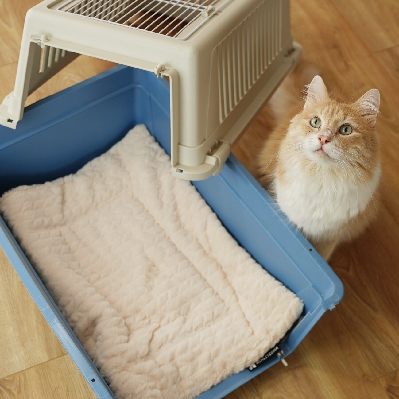 Schlitzohr Katzendecke Hundedecke Minka