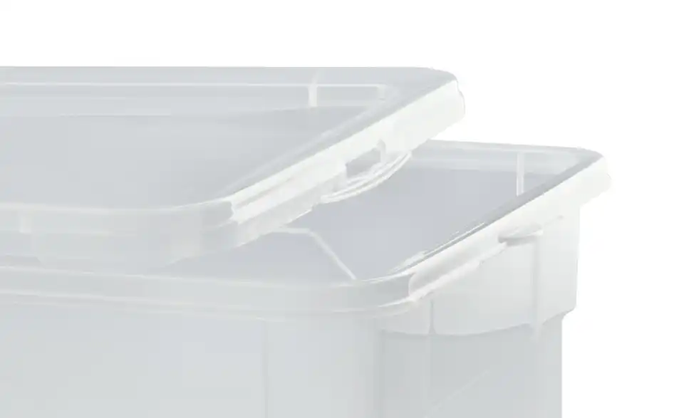 Rotho Aufbewahrungsbox mit Deckel 33 cm