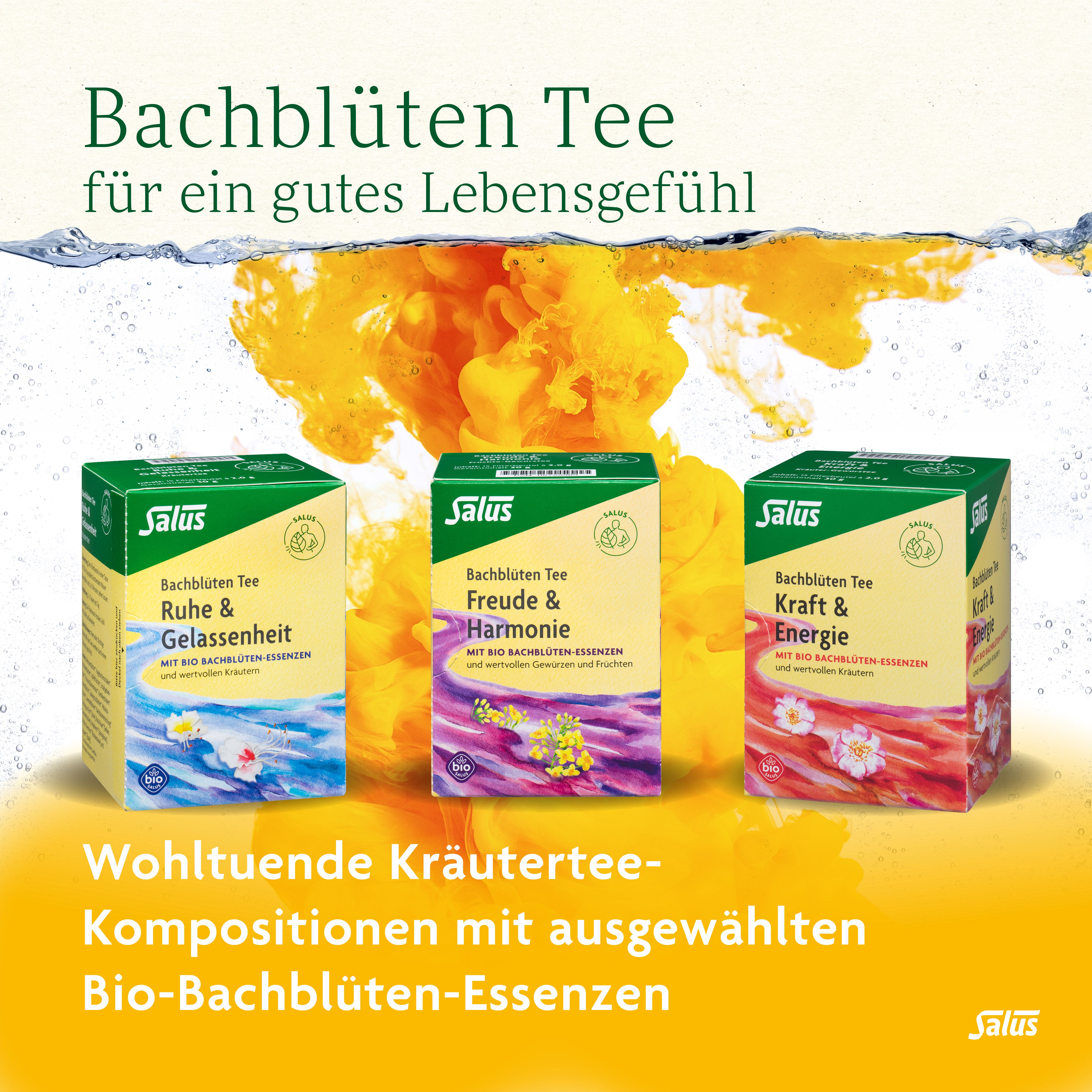 Salus® Bachblüten-Tee Kraft & Energie
