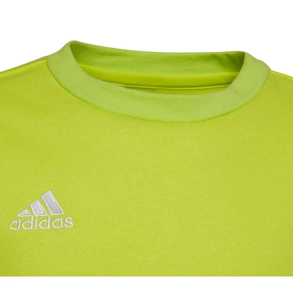 Moletom adidas Entrada 22 Stadium SW