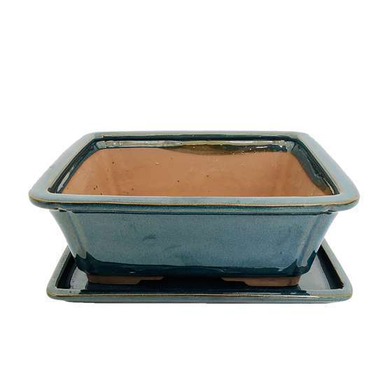 Poterie bonsaï + soucoupe, en terre cuite émaillée L. 21 x l. 16 cm